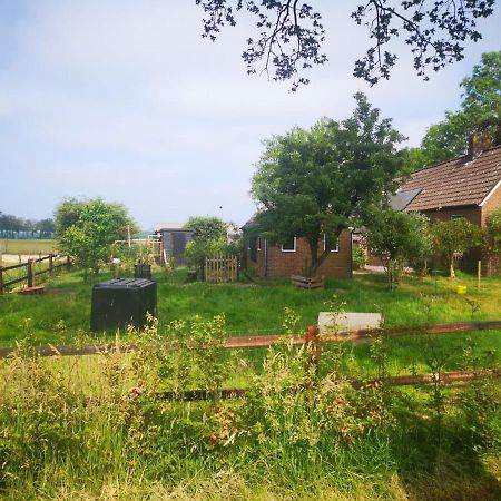 Trekkershut - Tiny House - Hikers Cottage Wijster Exteriér fotografie